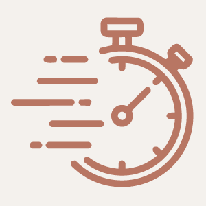 Picto livraison rapide